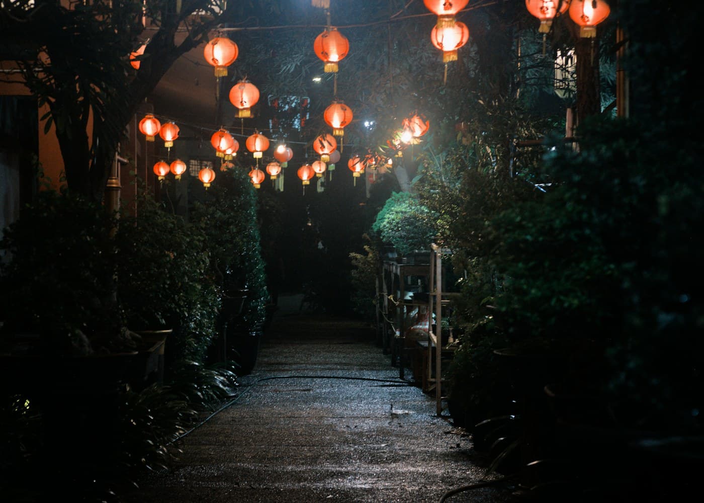 Lanterns lighting a garden pathway after dark