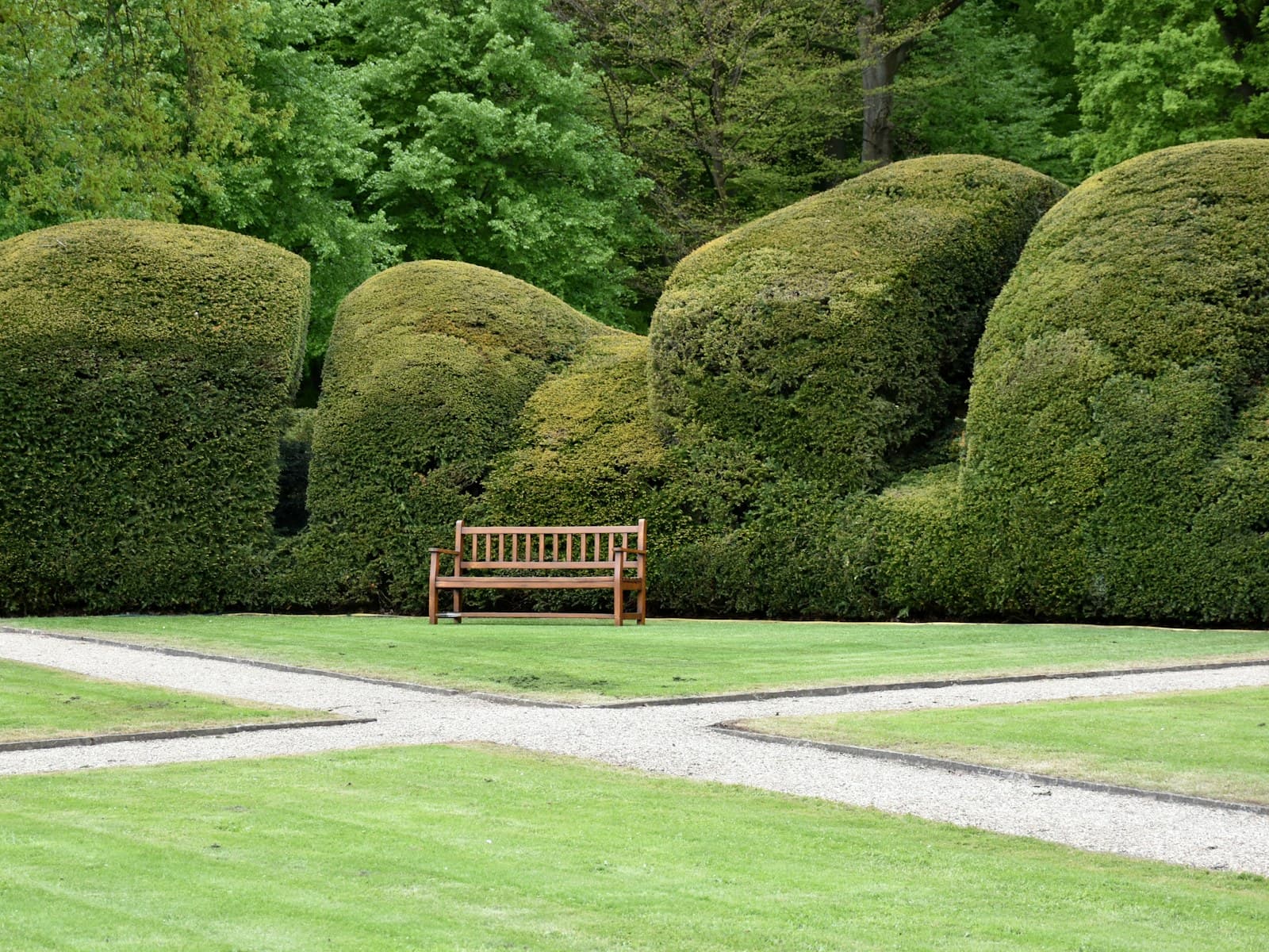 A wooden bench set into a manicured garden of clipped hedging