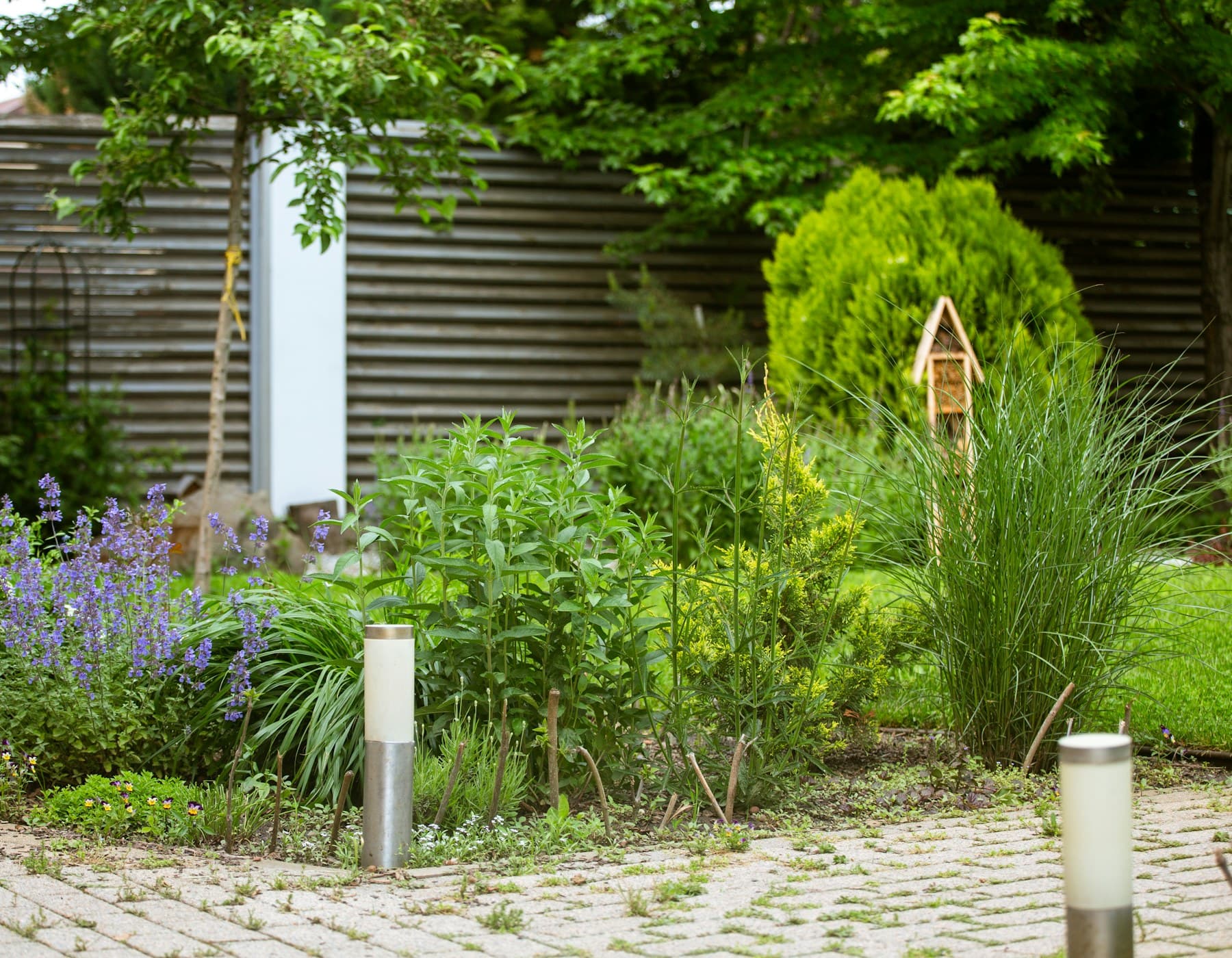 A garden of purple flowering perennials against a timber fence