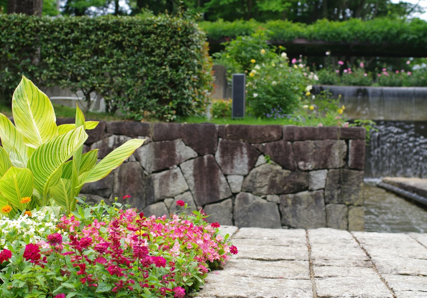 A densely flowered border running along a stone garden wall