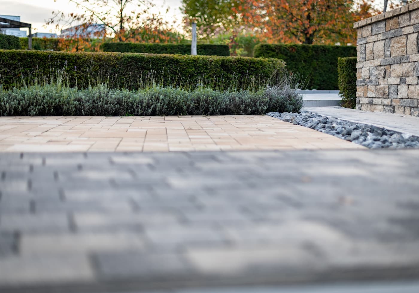 A modern garden pathway between a stone wall and clipped hedging
