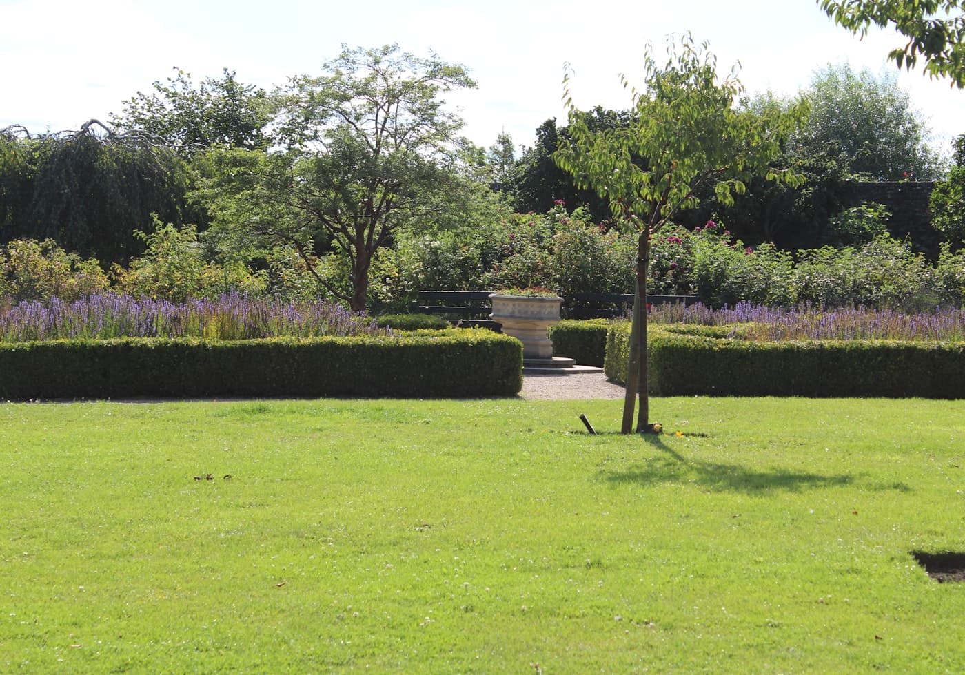 A well-kept garden of manicured hedging and flowering borders