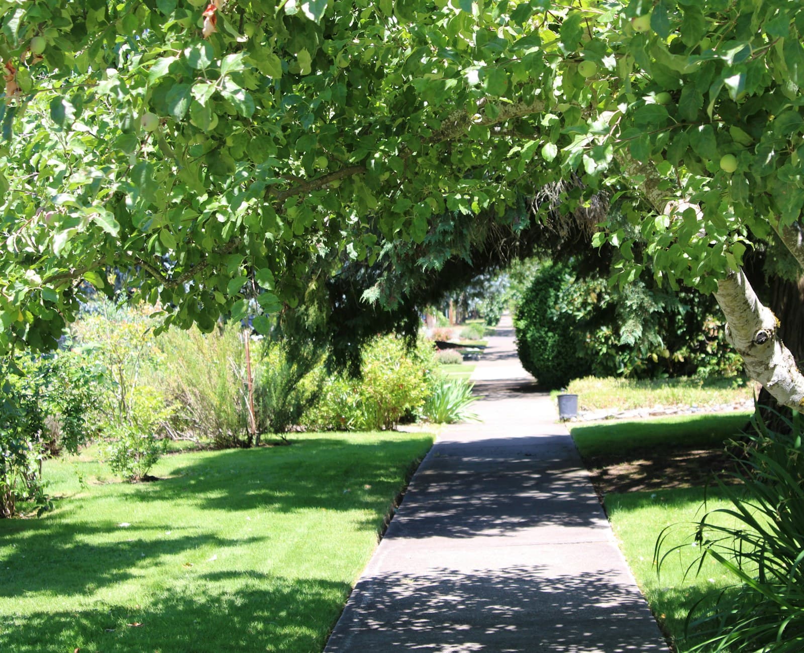 A winding stone path through a lush green garden