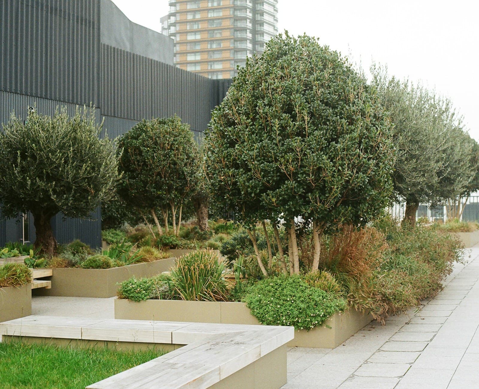 A rooftop garden of trees and planters above a city skyline