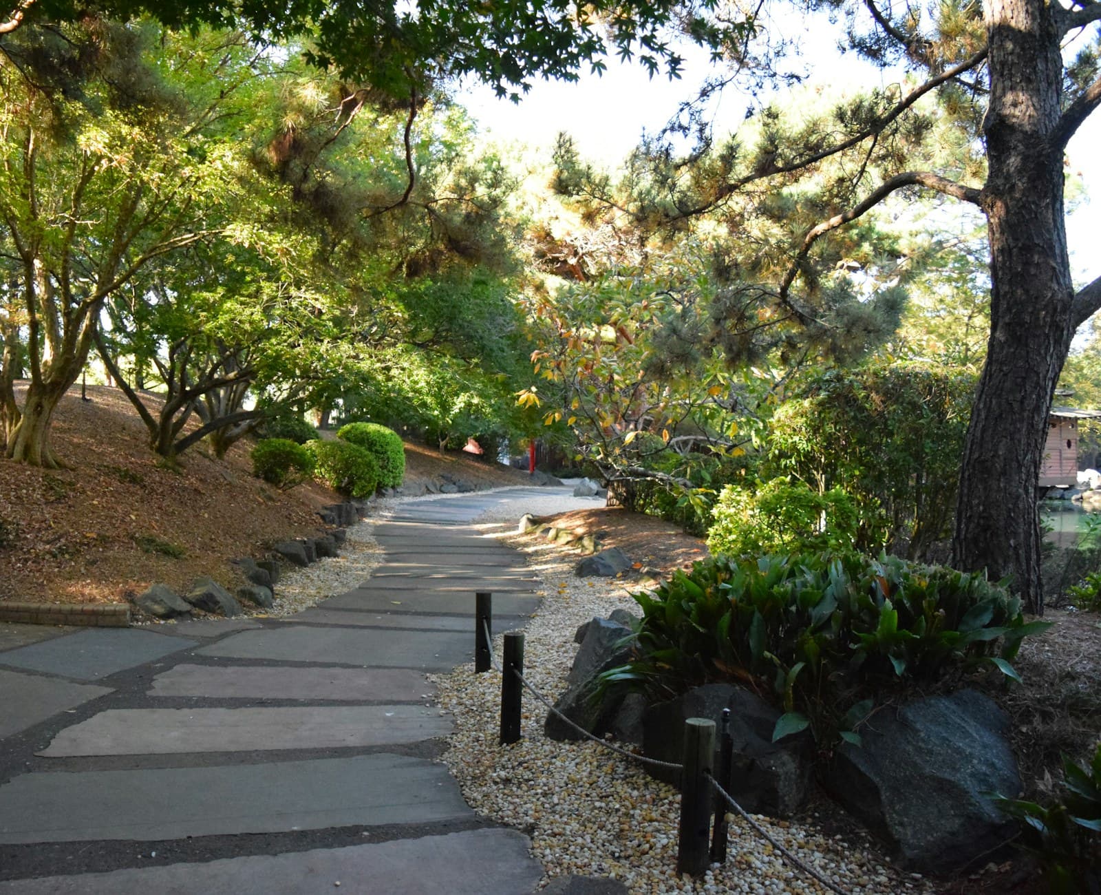A stone path curving between deep planted borders